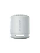 Sony SRSX-B100 Bluetooth Speaker Light Grey