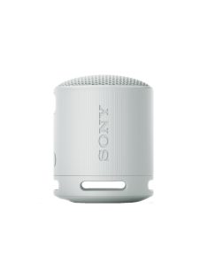 Sony SRSX-B100 Bluetooth Speaker Light Grey