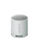 Sony SRSX-B100 Bluetooth Speaker Light Grey