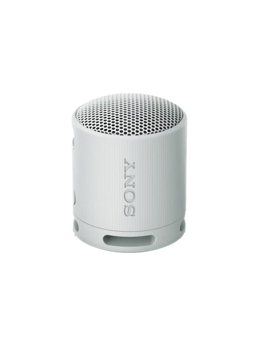 Sony SRSX-B100 Bluetooth Speaker Light Grey