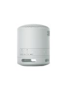 Sony SRSX-B100 Bluetooth Speaker Light Grey