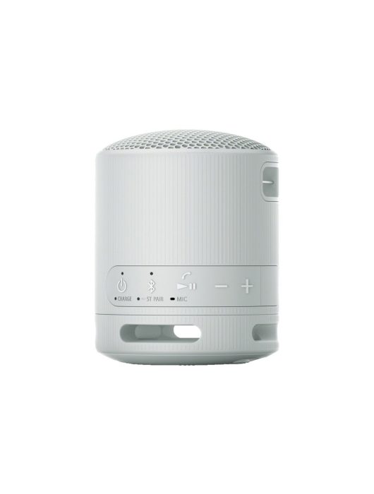 Sony SRSX-B100 Bluetooth Speaker Light Grey