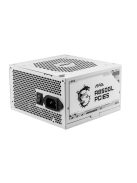 Msi 850W 80+ Gold MAG A850GL PCIE5 WHITE