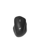 Platinet Omega OM216 Wireless mouse Black