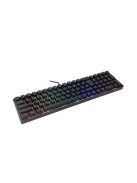 White Shark GK-001114B Gladius RGB Gaming keyboard Black US