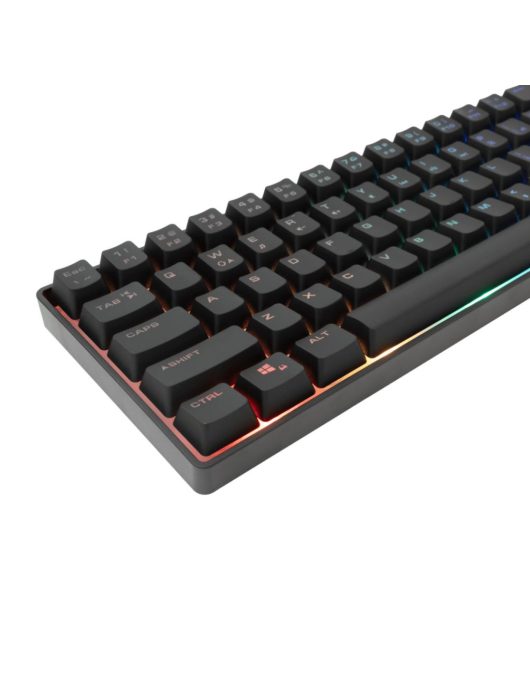 White Shark GK-001114B Gladius RGB Gaming keyboard Black US