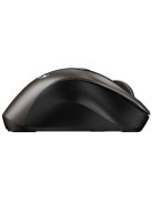 Genius Ergo 9000S Wireless mouse Champagne Titanium