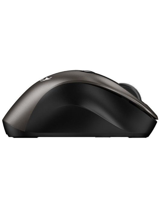 Genius Ergo 9000S Wireless mouse Champagne Titanium
