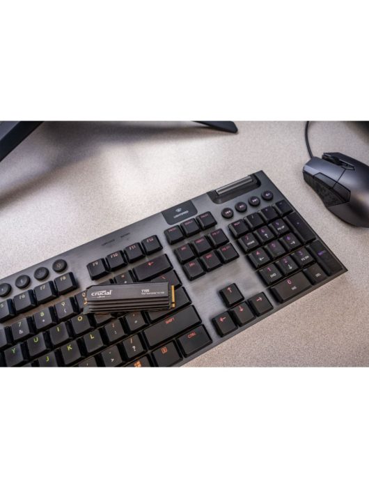 Crucial 1TB M.2 2280 NVMe T705 with Heatsink