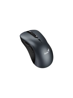 Genius Ergo 8100S Wireless mouse Iron Grey