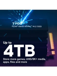 Crucial 4TB M.2 2280 NVMe T705 with Heatsink