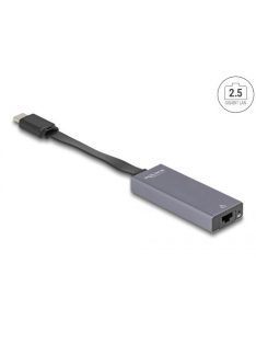 DeLock USB Type-C Adapter to 2.5 Gigabit LAN slim