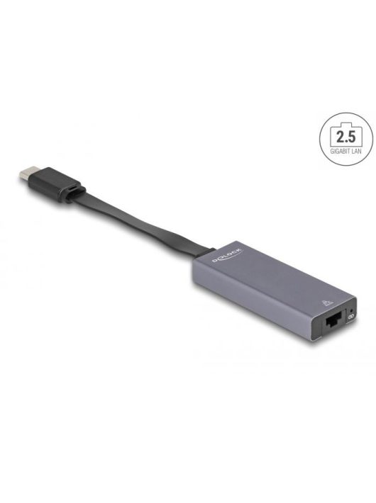 DeLock USB Type-C Adapter to 2.5 Gigabit LAN slim