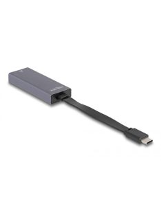 DeLock USB Type-C Adapter to 2.5 Gigabit LAN slim