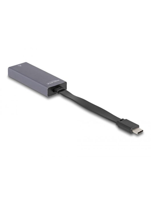 DeLock USB Type-C Adapter to 2.5 Gigabit LAN slim