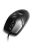 Media-Tech MT1075K mouse Black