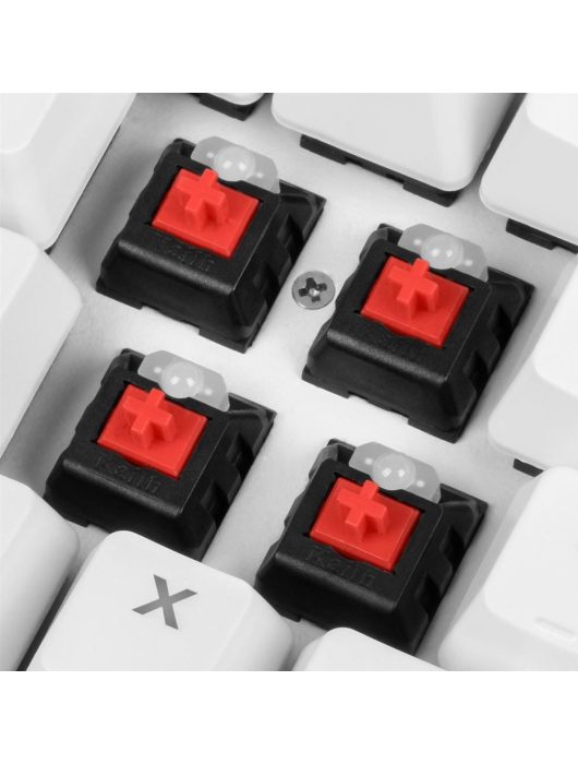 Sharkoon Skiller SGK3 Mechanical Gaming RGB Keyboard White US
