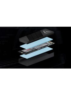 Arctic M2 Pro Black