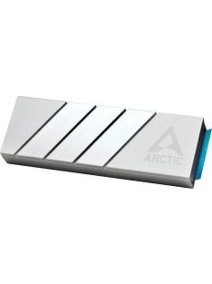 Arctic M2 Pro Silver