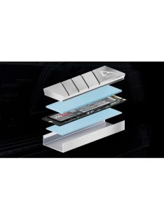 Arctic M2 Pro Silver