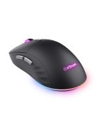 Trust GXT926 Redex II Wireless Gaming Mouse Black