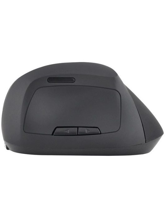 Bluestork M-WL-ERGO-BK Wireless Mouse Black
