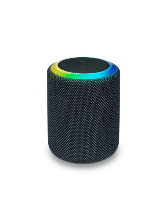 Bigben Interactive Party MS1 Bluetooth Speaker Black
