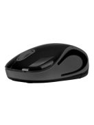 Everest SMW-555 Wireless Mouse Black