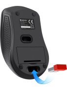 Defender Accura MM-935 Wireless Mouse Black