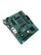 Asus PRO A520M-C II/CSM