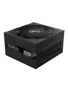 Gigabyte 1000W 80+ Platinum Aorus Elite
