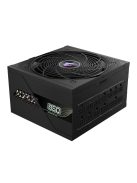 Gigabyte 850W 80+ Platinum Aorus Elite