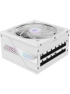 Gigabyte 1000W 80+ Platinum Aorus Elite ICE