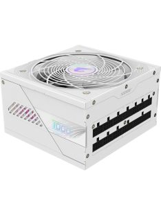 Gigabyte 1000W 80+ Platinum Aorus Elite ICE