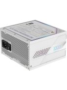 Gigabyte 1000W 80+ Platinum Aorus Elite ICE