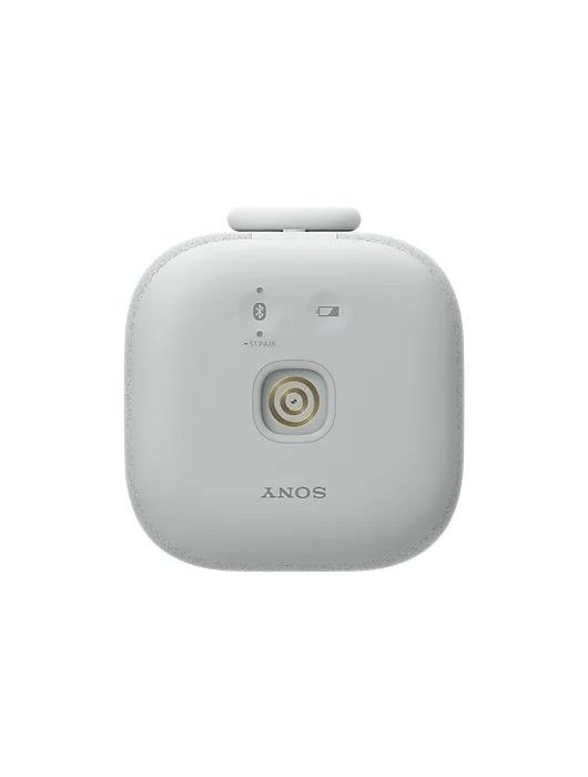 Sony SRS-LS1 LinkBuds Portable Wireless Speaker Light Gray