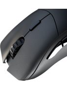 Glorious Model D 2 PRO Series Wireless Mouse Black