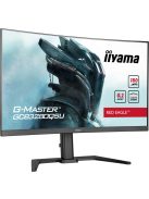 iiyama 31,5" G-Master GCB3280QSU-B2 LED Curved
