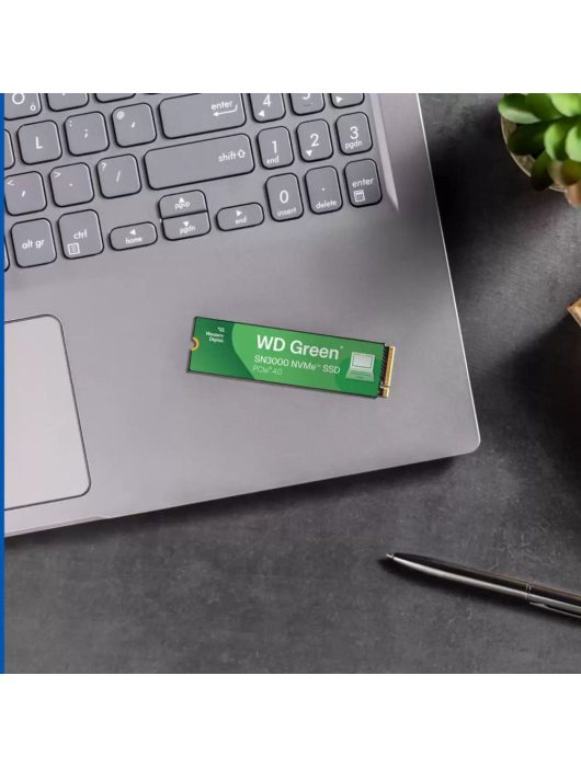 Western Digital 500GB M.2 2280 NVMe SN3000 Green