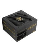 Enermax 750W 80+ Gold Revolution III