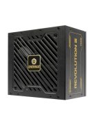 Enermax 750W 80+ Gold Revolution III