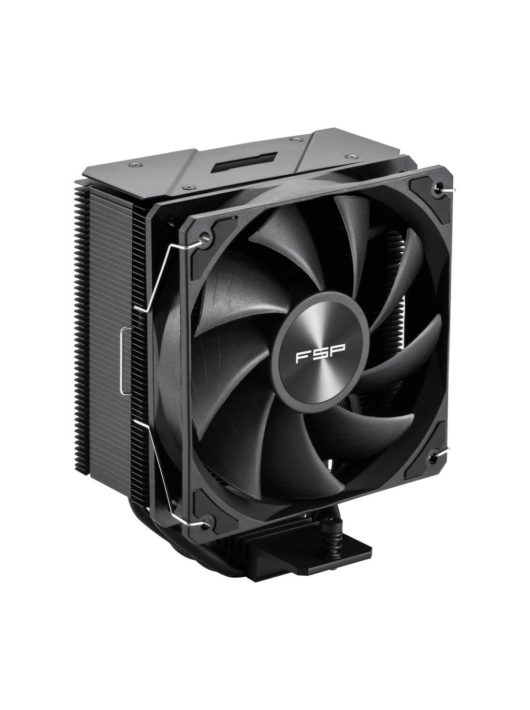 FSP NP5 BLACK