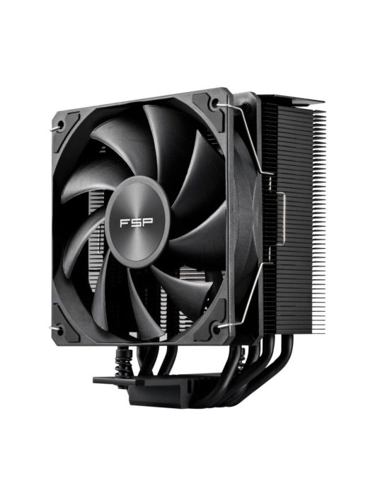 FSP NP5 BLACK
