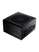 FSP 750W 80+ Gold ADVAN GM