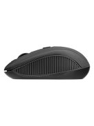 Everest SM-300 Optical Wireless Mouse Black