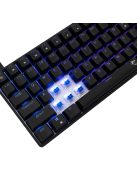 White Shark Hamachi RGB Gaming keyboard Black US