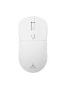SBOX WM-852 Wireless Mouse White