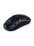 Endorfy LIV Wireless Mouse Black