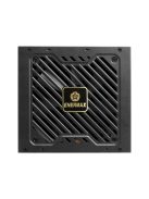 Enermax 1000W 80+ Gold Revolution III