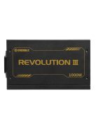 Enermax 1000W 80+ Gold Revolution III